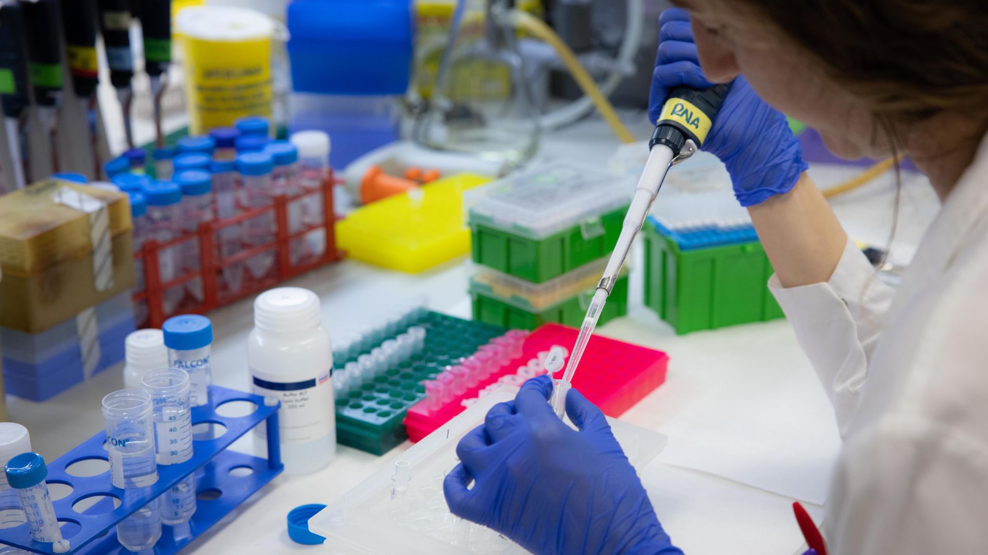 Vall dHebron hospital researchers preparing CAR-T cancer therapy for clinical trial