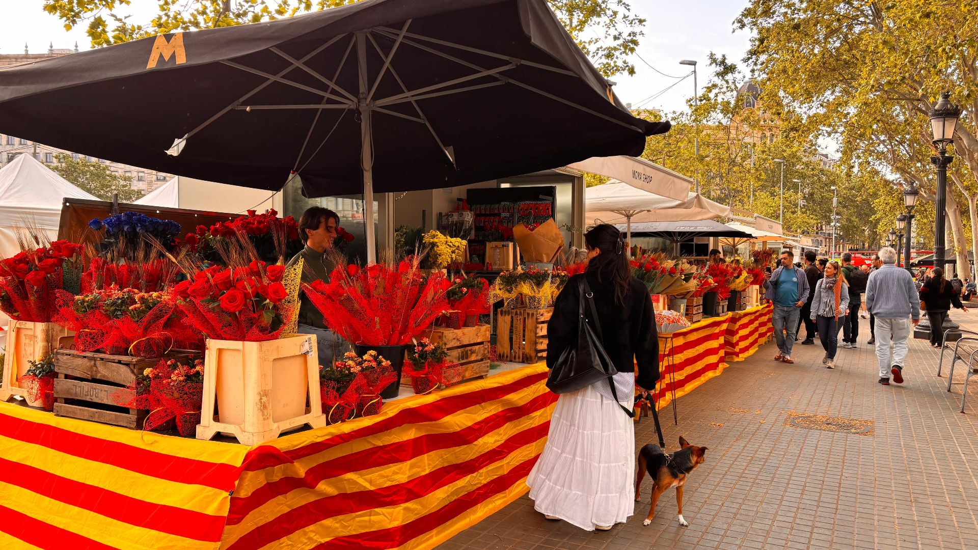 parades roses pla&ccedil;a de catalunya