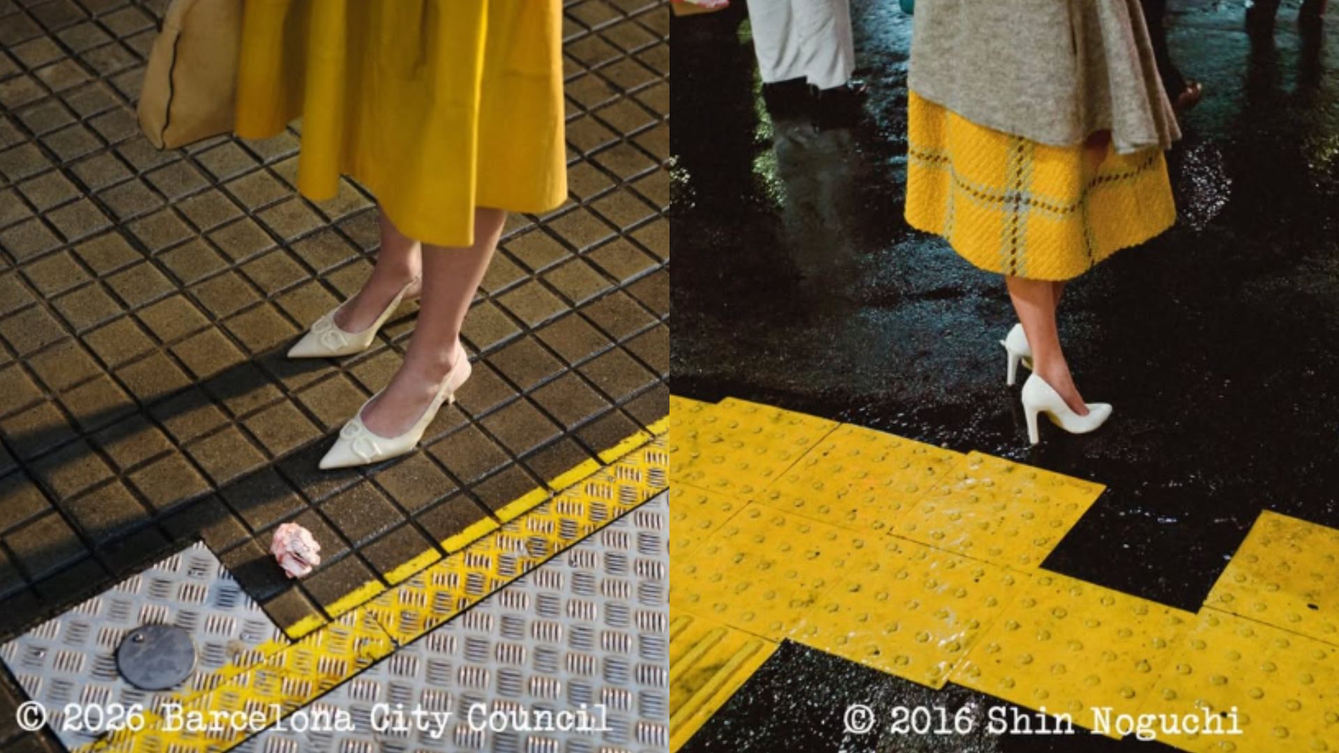 plagi campanya poca vergonya