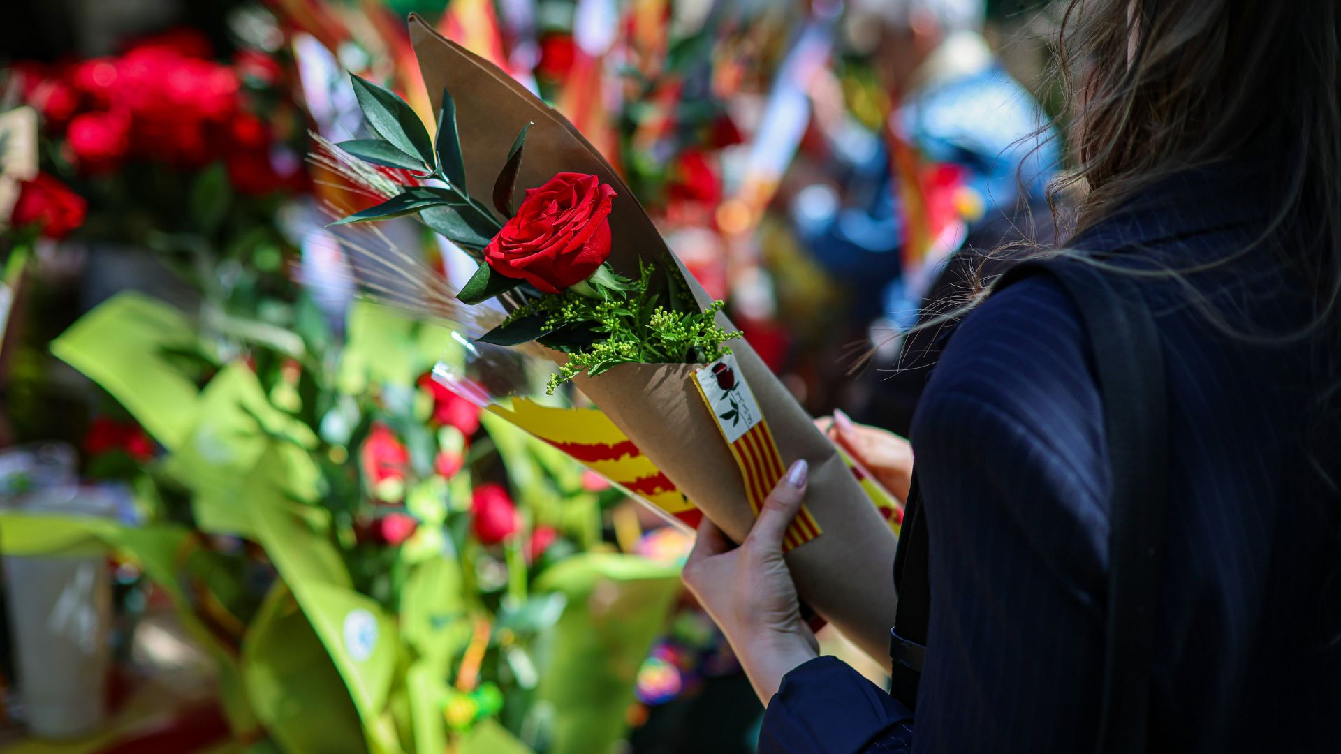rosa de Sant Jordi 2026 a Barcelona