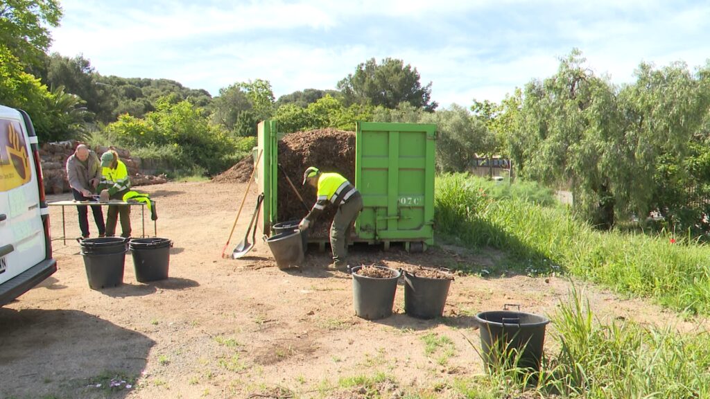 De branca d'un arbre a aliment d'una tomaquera: el tancament del cercle del residu vegetal | reciclatge