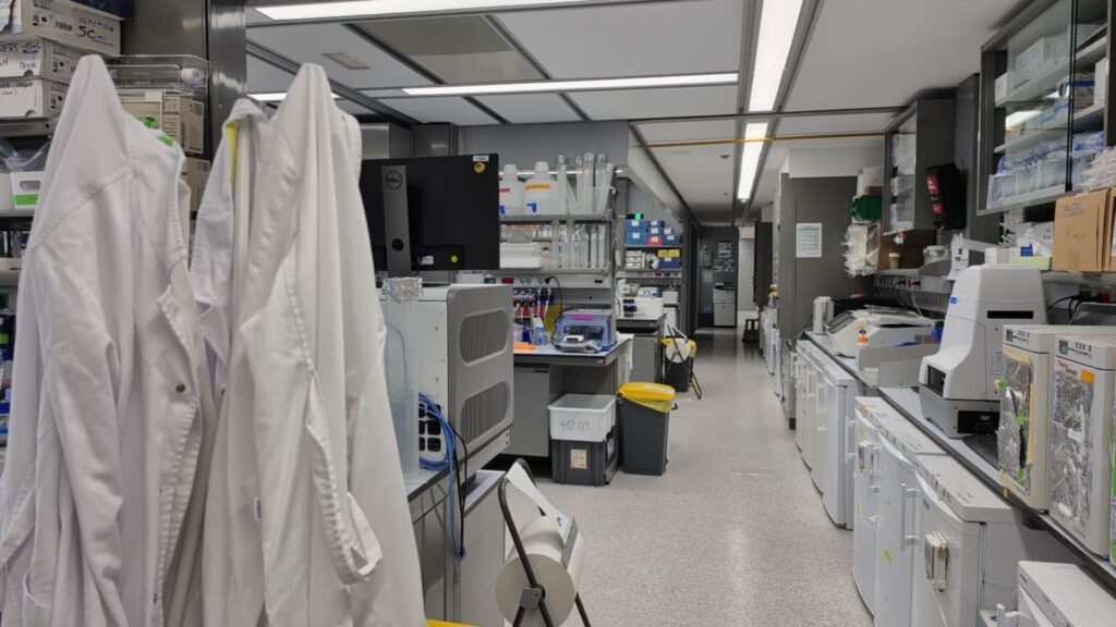 El Parc de Recerca Biomèdica fa 20 anys convertit en fàbrica de coneixement de referència europea | aniversari, ciència, recerca