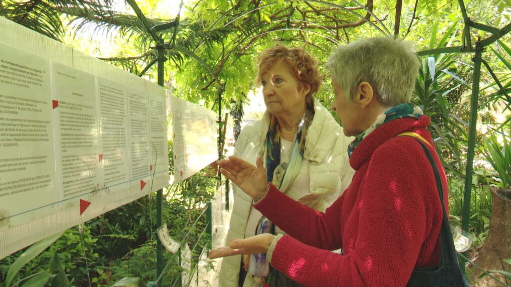 Encallat el projecte de reforma del Jardí del Silenci, a Gràcia, per falta de consens | Ajuntament de Barcelona, espai públic, jardins, procés participatiu
