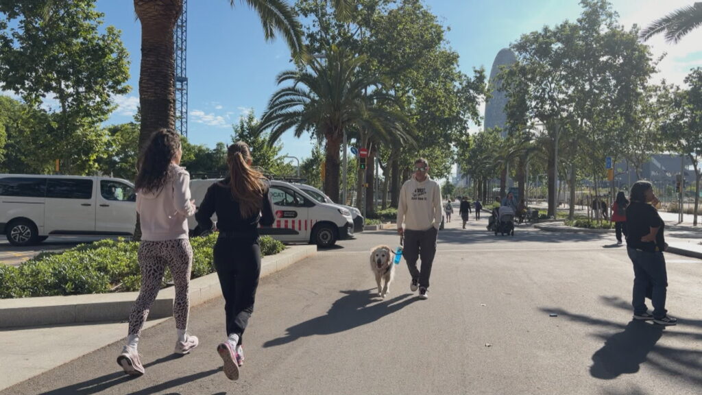 La Diagonal es consolida com la nova rambla dels barcelonins un any i mig després de la reforma | avinguda Diagonal, Barris, bicicleta, carril bici, plaça de les Glòries Catalanes