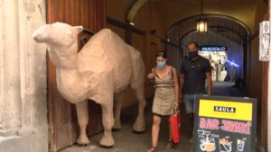 ‘Petons al cul’, el documental que recupera la memòria del mercat d'”El Camello”, a Portaferrissa
