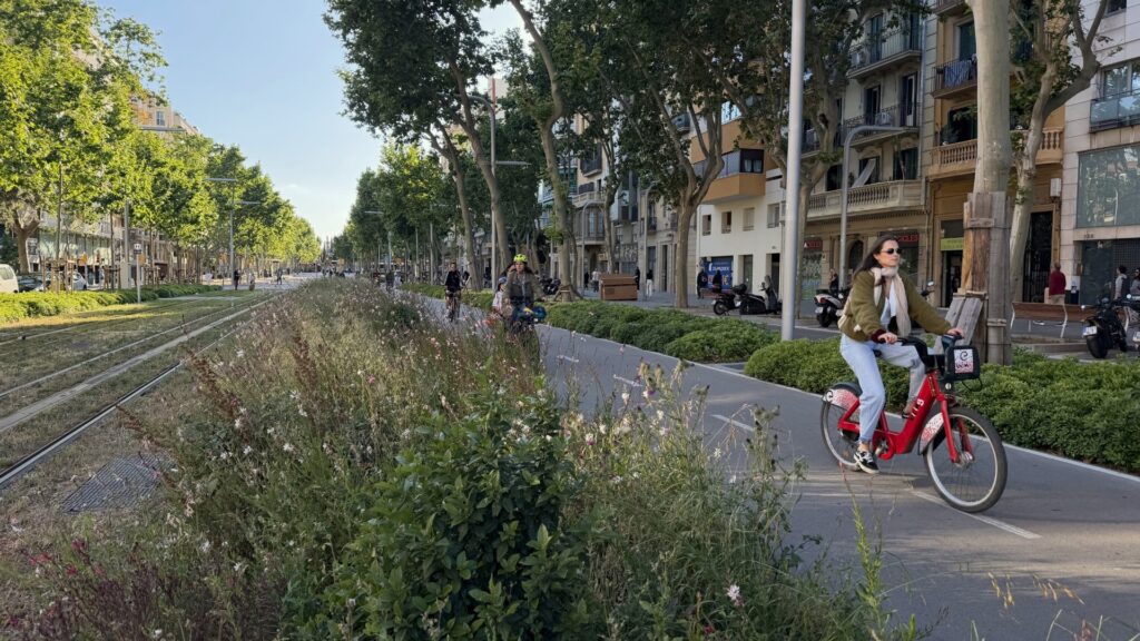 Revolució verda al carril bici de la Diagonal aquests dies de maig