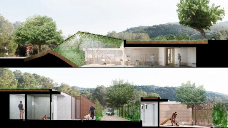 Es desencalla el futur Centre d'Acollida d'Animals a Collserola: el Suprem l'ha avalat | animals, gossos, Parc Natural de Collserola, sentència, Tribunal Suprem