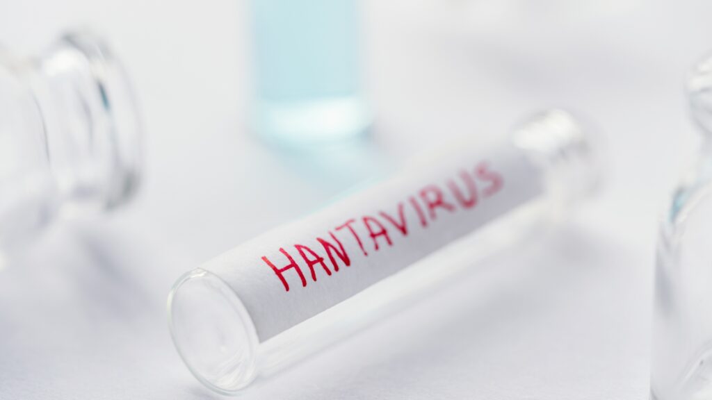 hantavirus