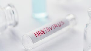 Sanitat informa d’un possible contacte d’hantavirus que va passar una setmana a Barcelona
