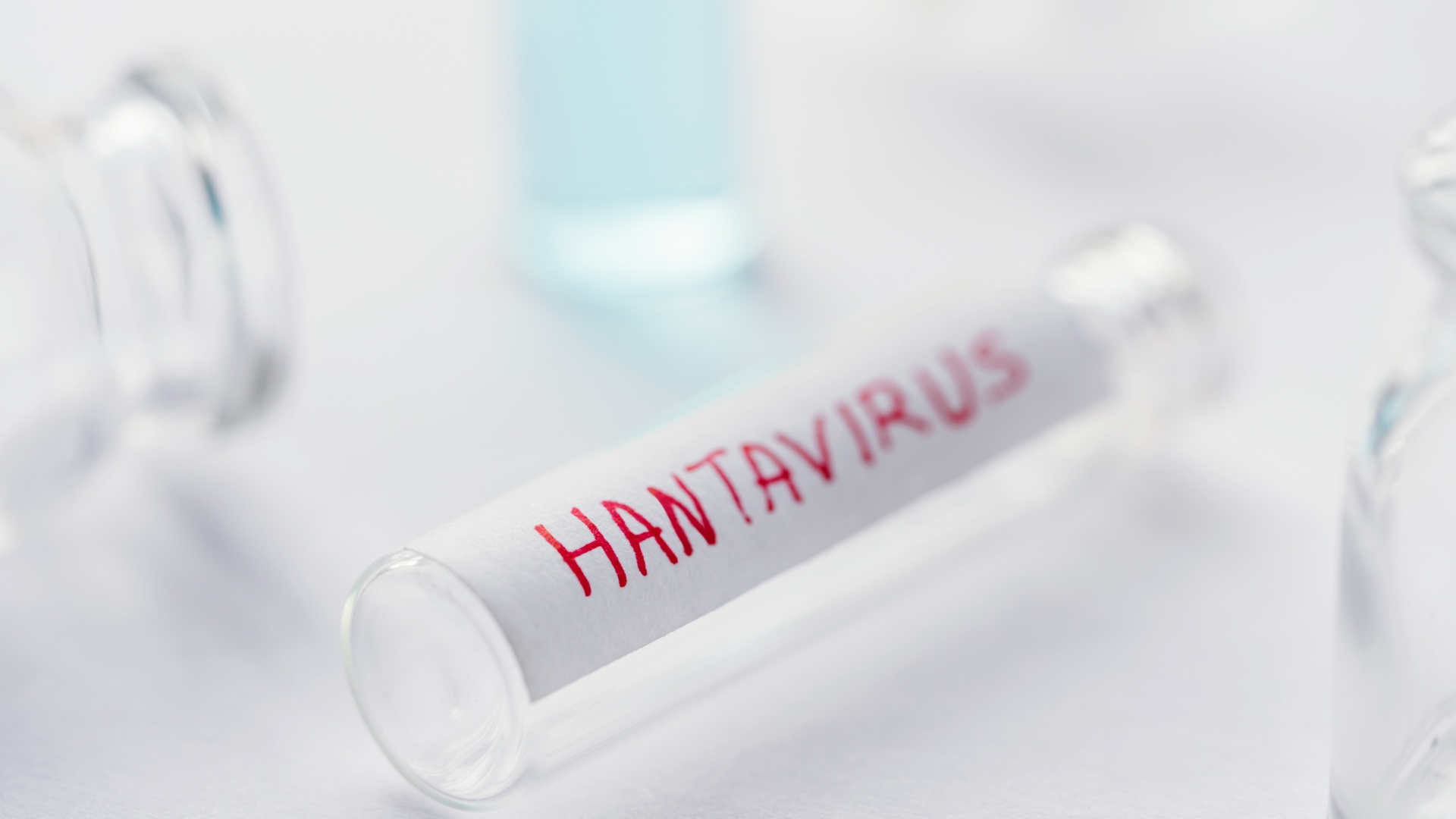 hantavirus