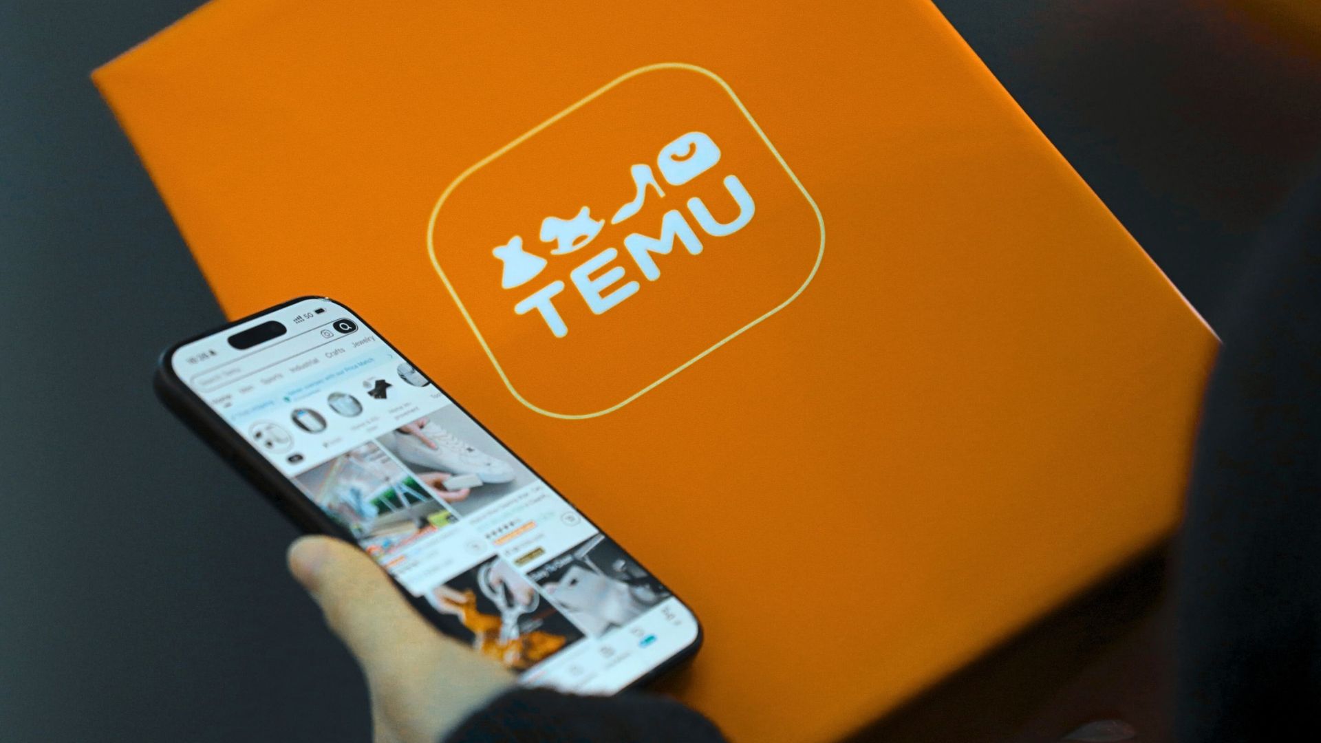 multa temu