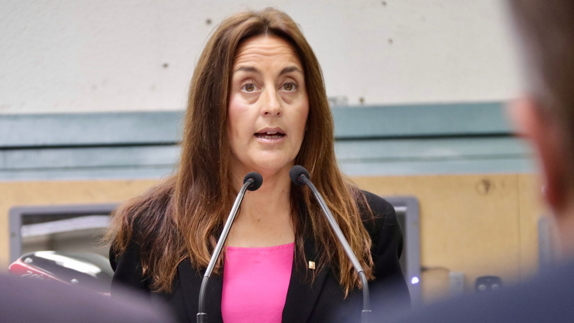 Consellera Ester Niubó