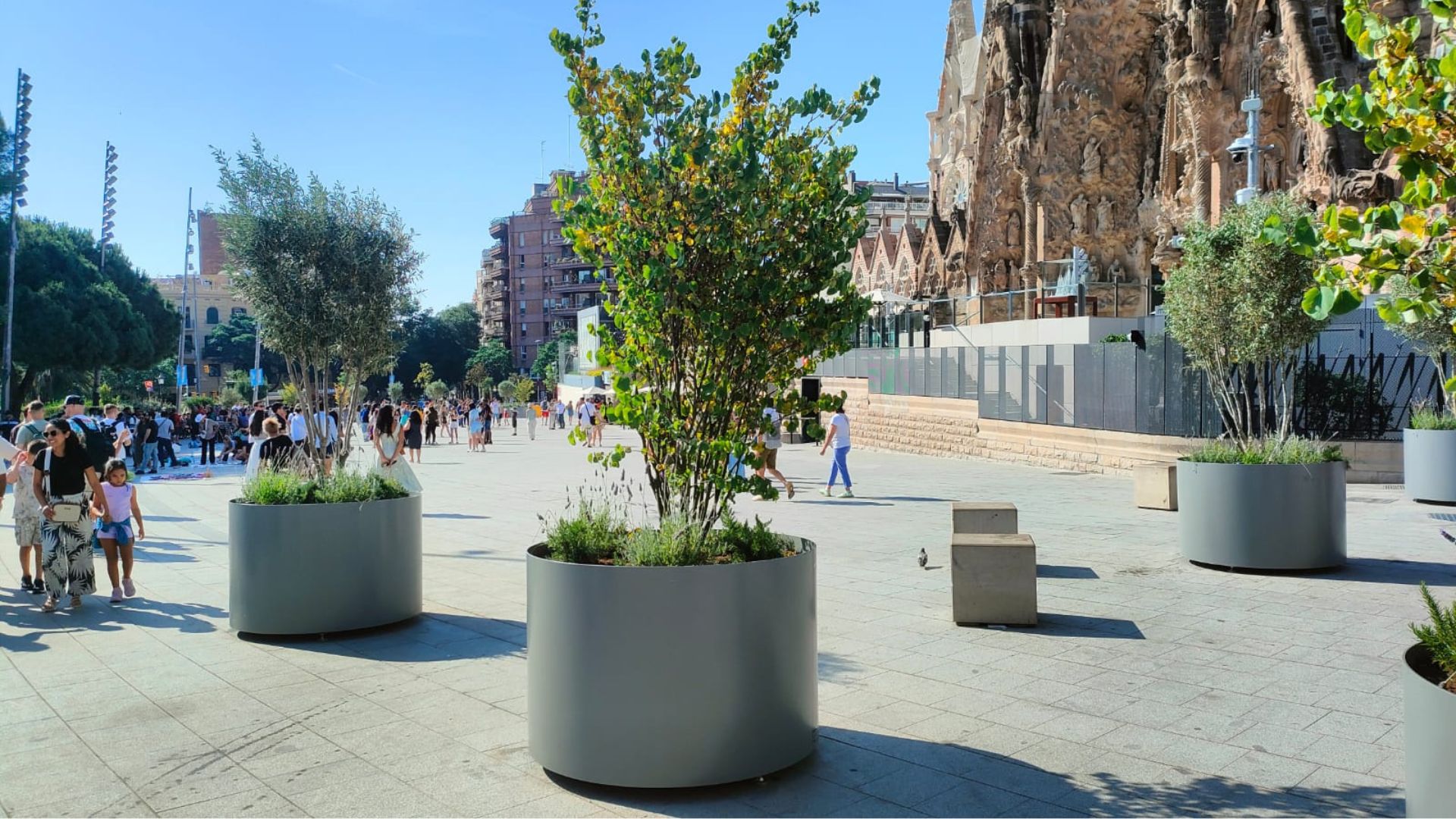 final obres carrer Marina a Sagrada Família