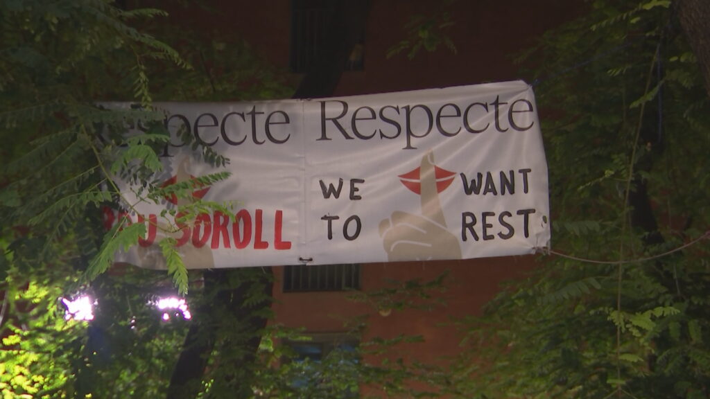 FECALON: "S'està fent alarmisme interessat, no és cert que s'obrin més discoteques" | botigues, cànnabis, discoteca, oci nocturn, pla d'usos, soroll