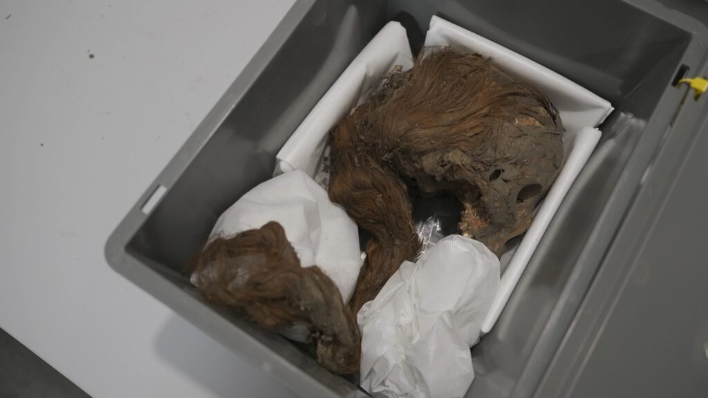 Investigaci&oacute; del sepulcre de la Reina Elisenda al Monestir de Pedralbes