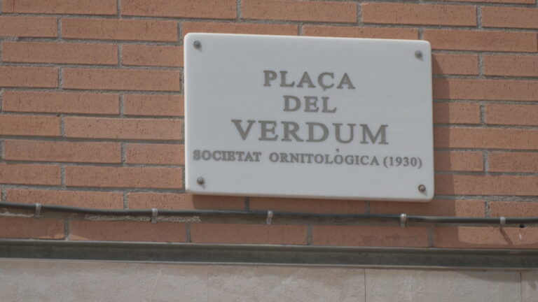 L'hora de la veritat: arrenca el procés oficial per votar si el barri es dirà Verdum o Verdun | Barris, nomenclàtor, participació ciutadana
