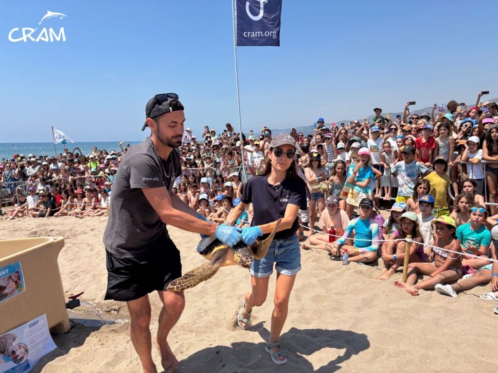 alliberament tortugues CRAM