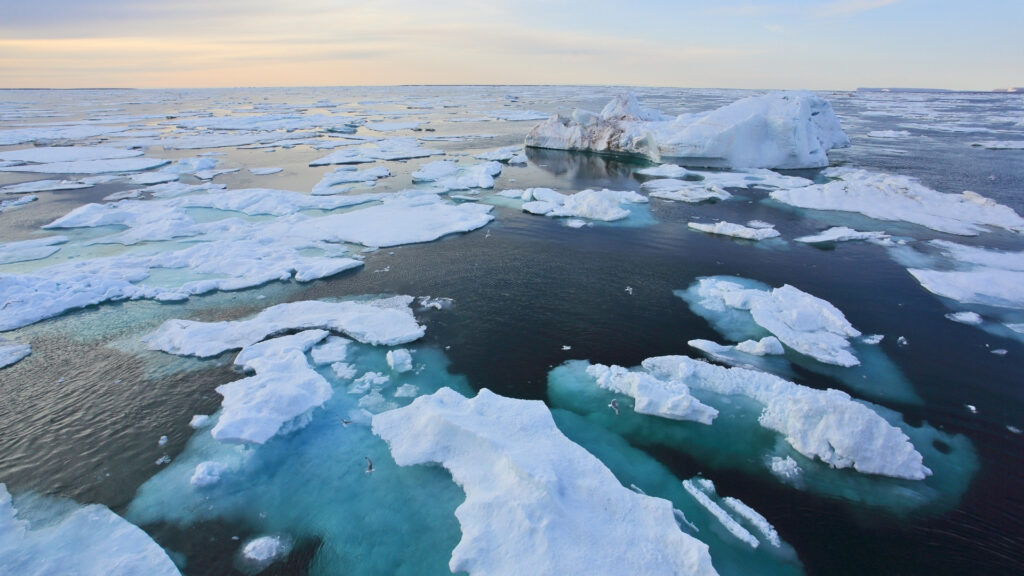 Copernicus Oceans Canvis Mar Plataforma