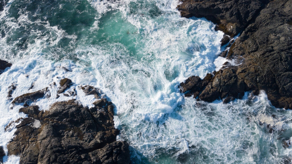 Copernicus Oceans Canvis Mar Plataforma