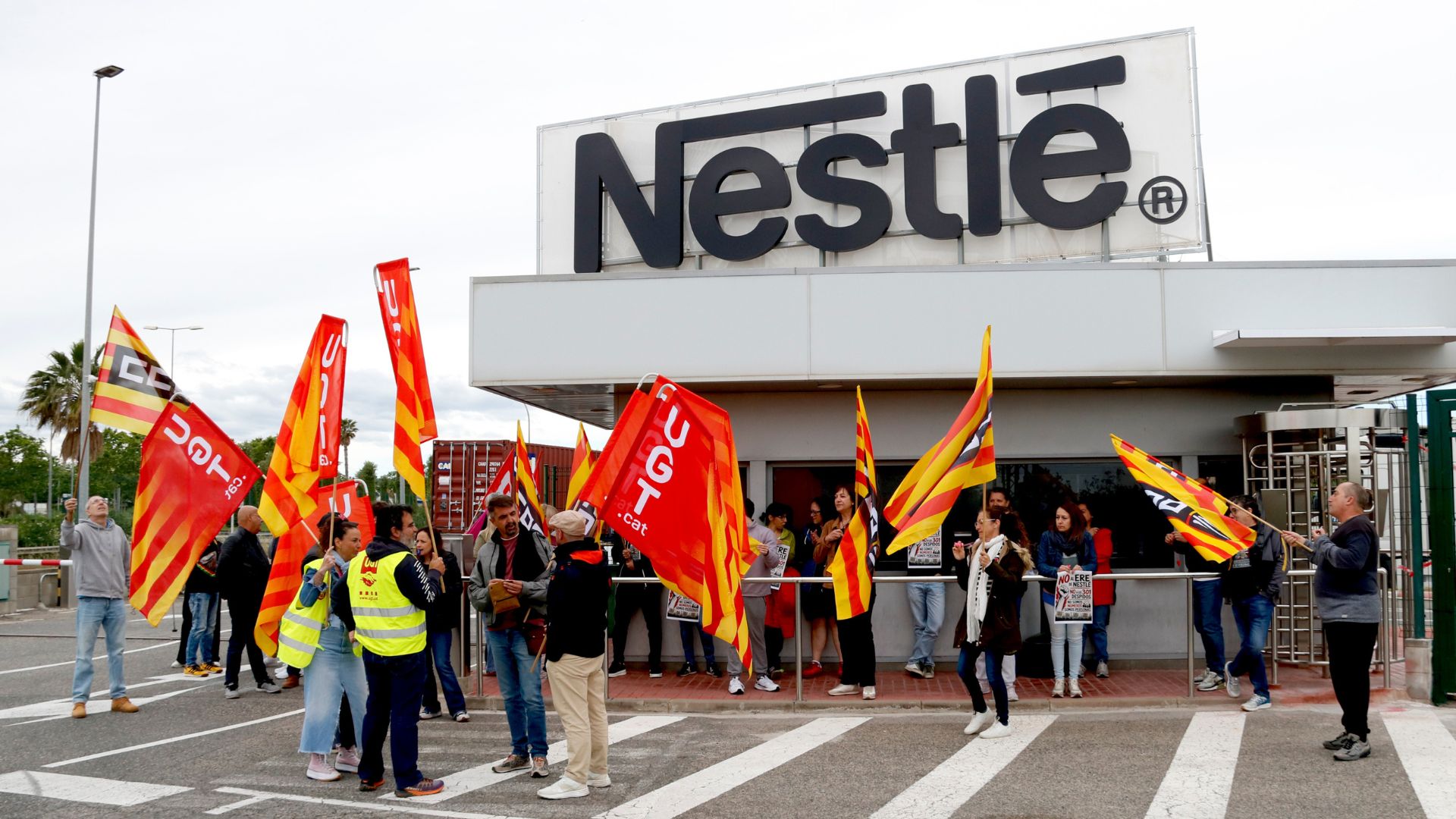 ero nestle