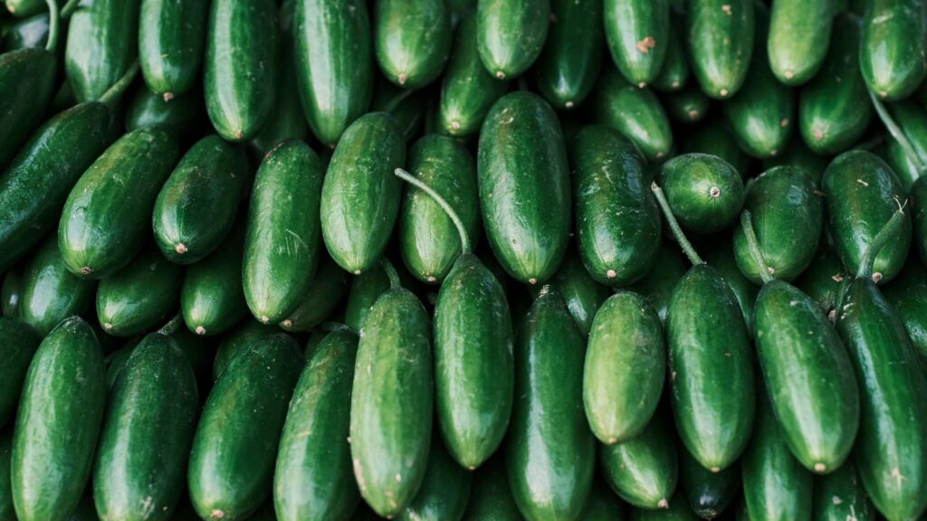 Aquests són els 15 productes frescos de temporada recomanats per Mercabarna aquest juliol | alimentació, Mercabarna, mercats, peix, Producte de temporada
