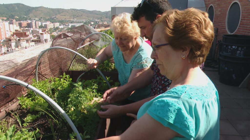 Un hort comunitari al Carmel ajuda a combatre la soledat no desitjada | centres cívics, gent gran, horts urbans, Pla de Barris, salut mental