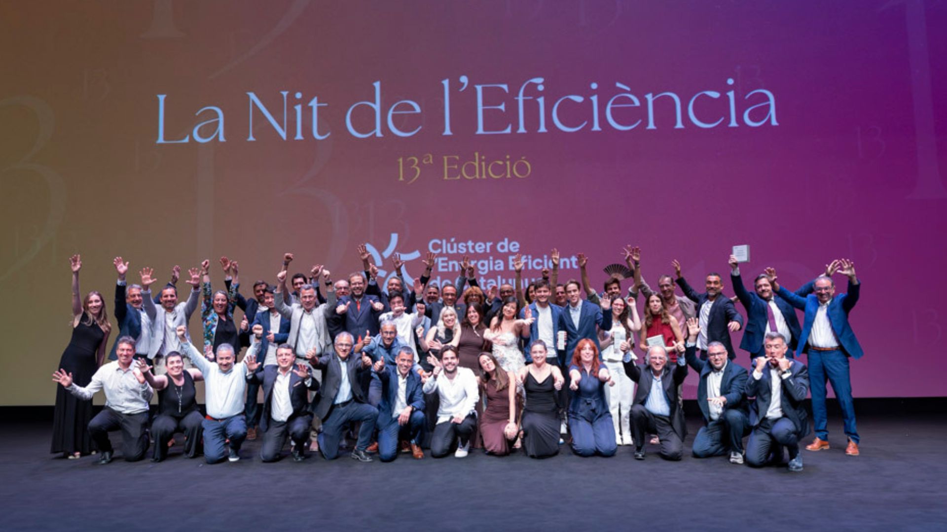 Nit de l'eficiència