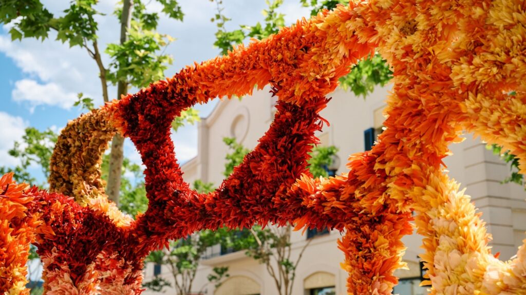 Què tenen a veure unes portes, Gaudí i la Roca Village? | botigues, eixos comercials
