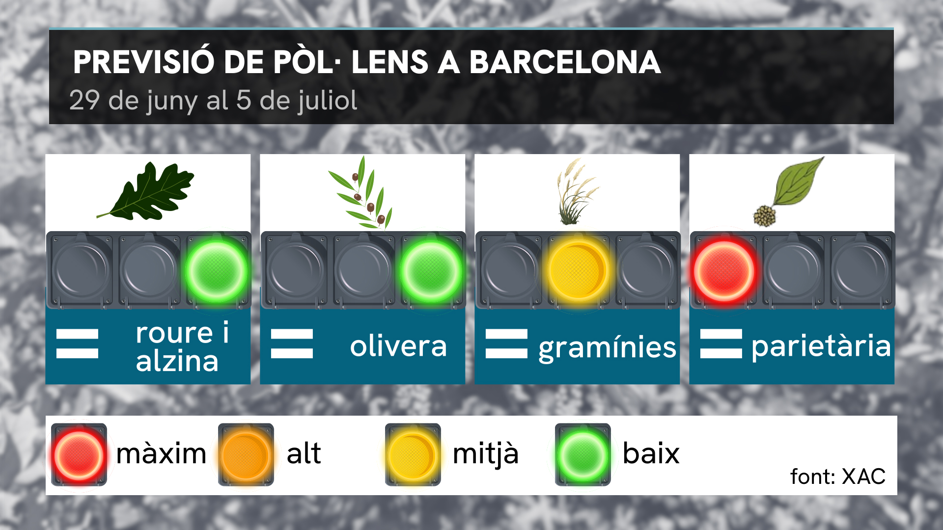 previsió pol·len setmana 29 de juny al 6 de juliol del 2026