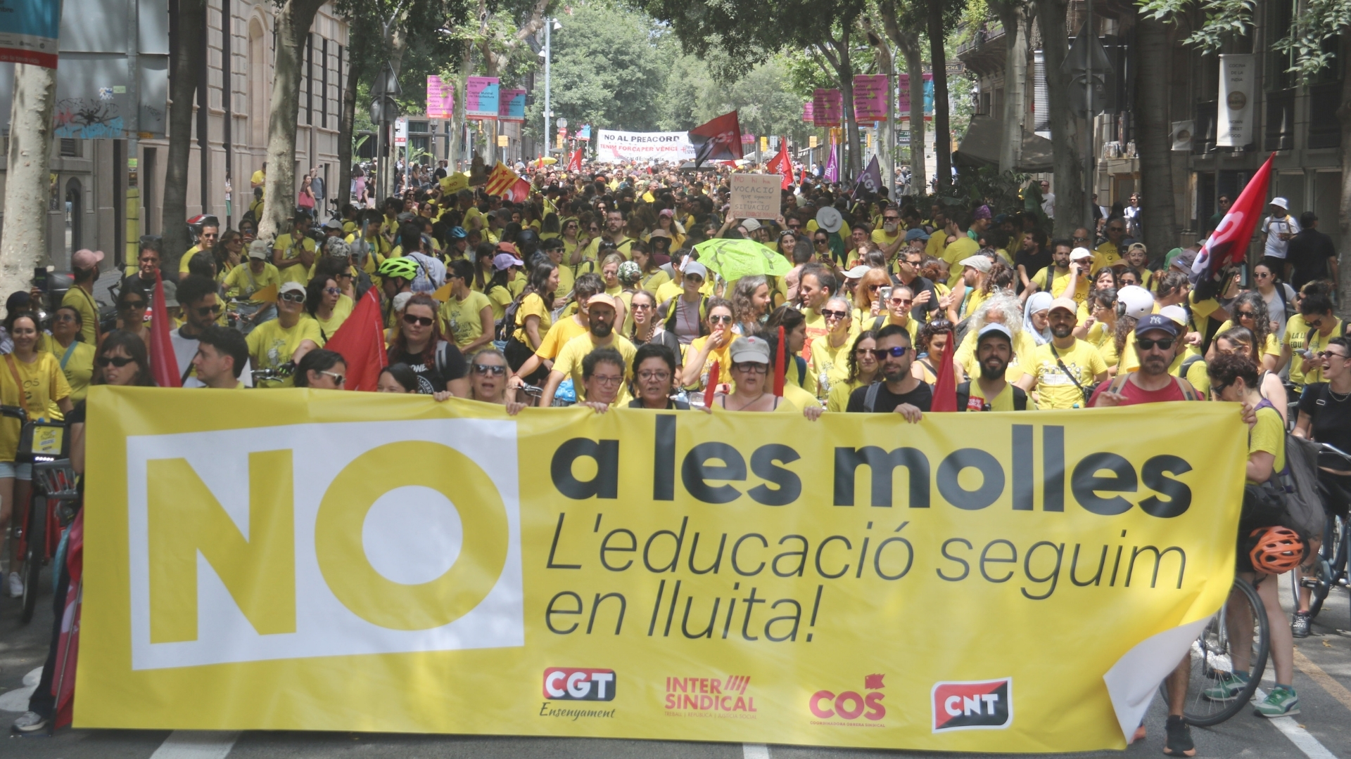 manifestació vaga educació