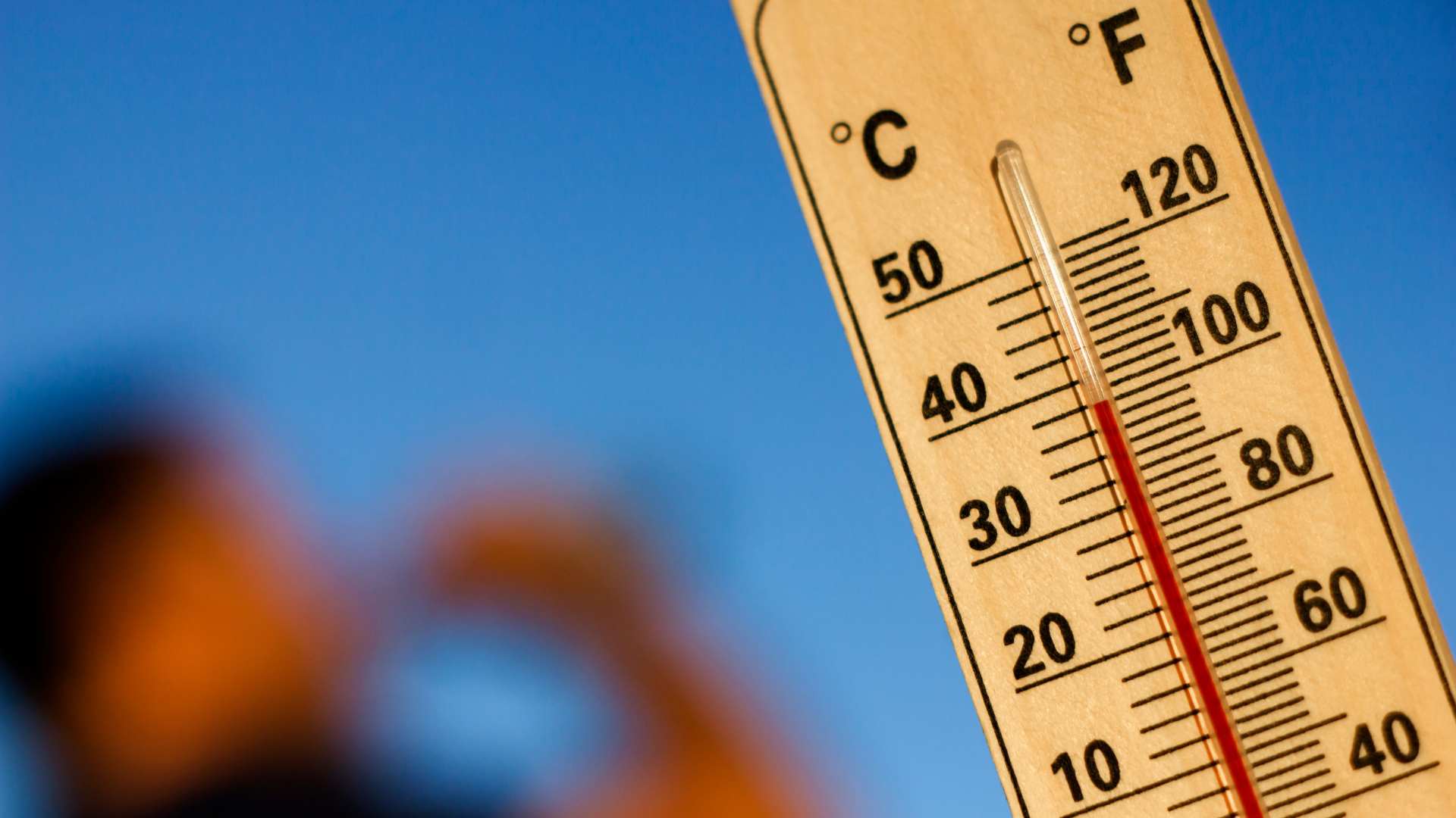 avisos meteocat onada de calor