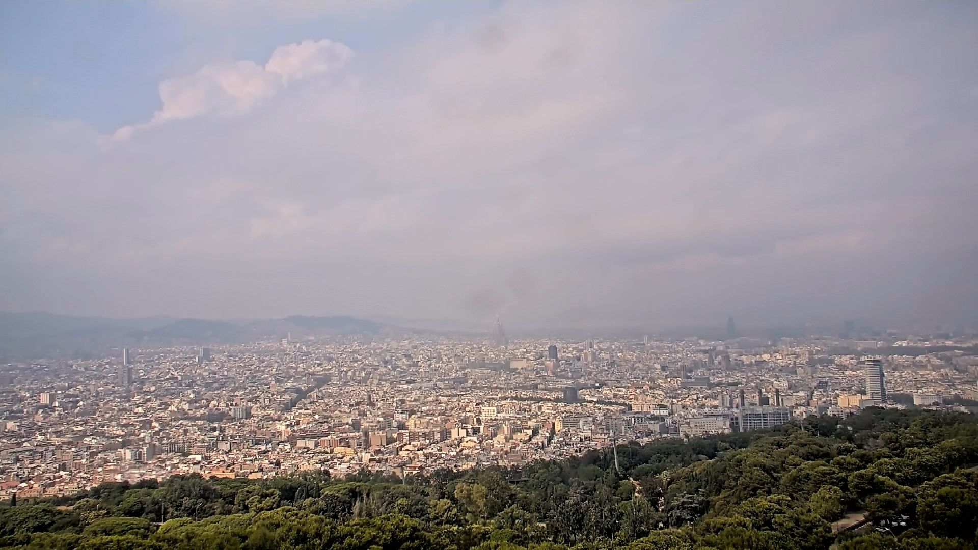 barcelona fum