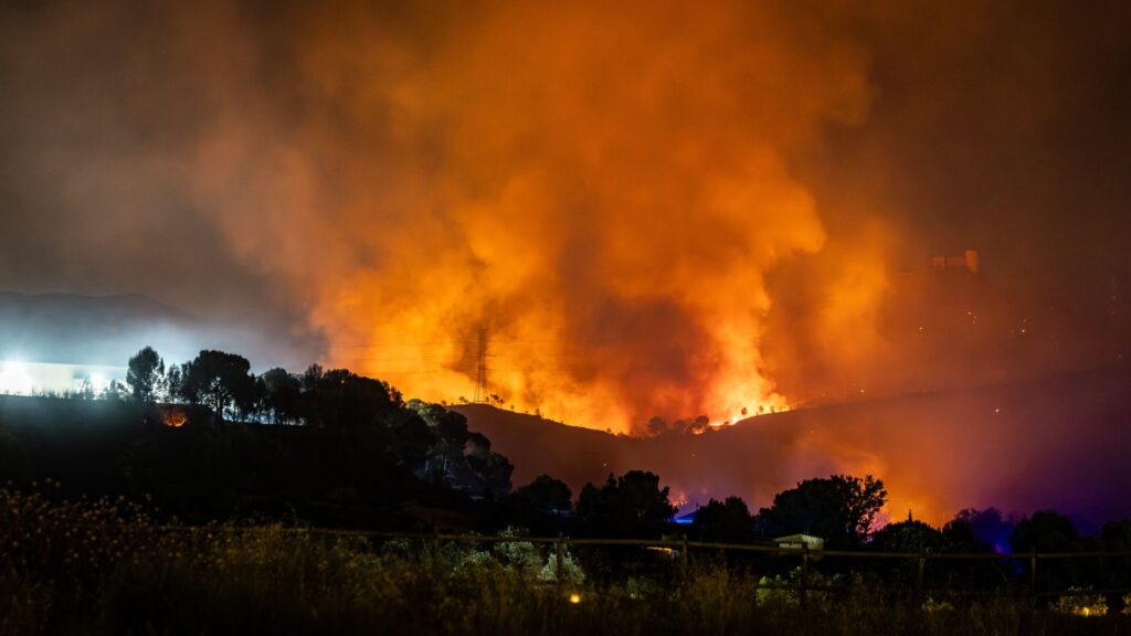 incendis forestals
