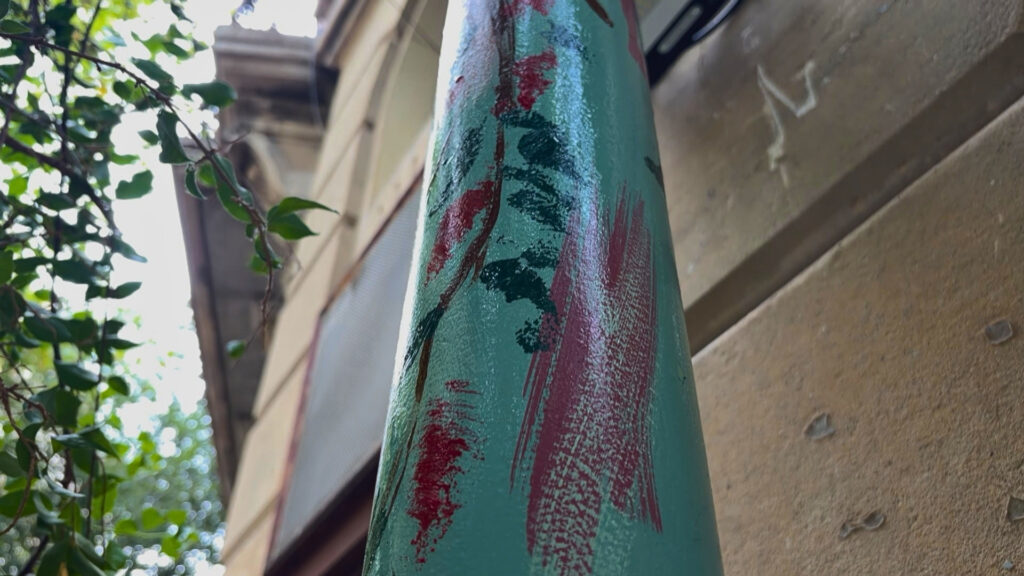 La nova vida de la buguenvíl·lia de la rambla de Catalunya, salvada amb una pèrgola de ferro | Ajuntament de Barcelona, Barris, parcs i jardins, plantes