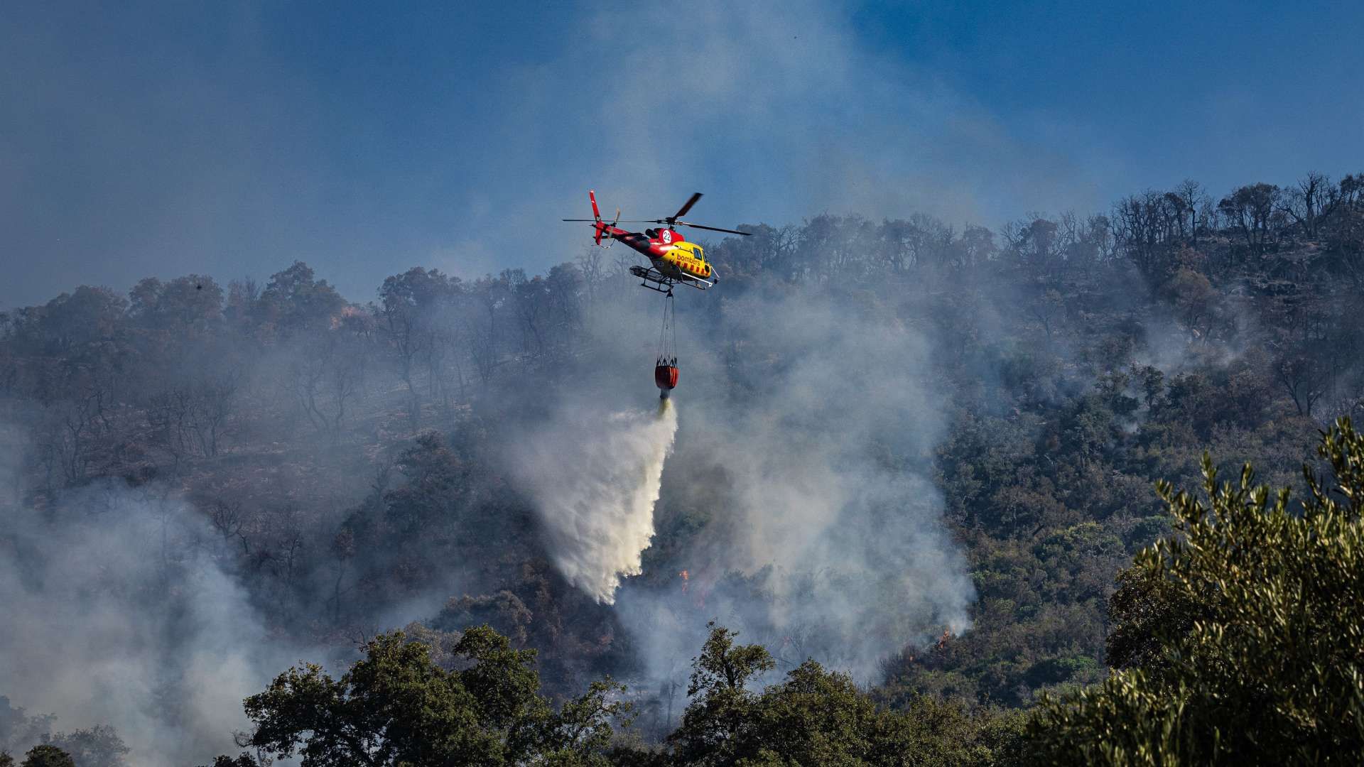 incendi Gavarres
