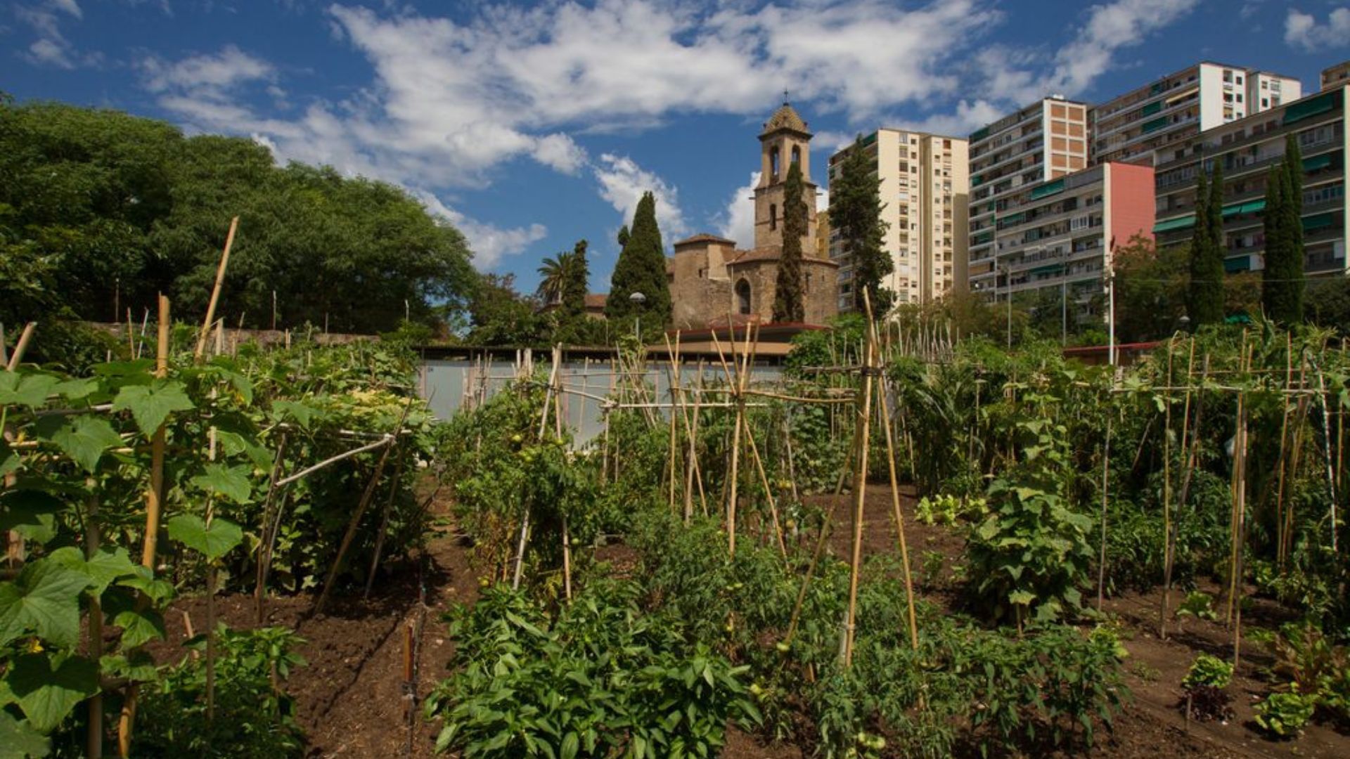 Hort de Can Cadena i església de Sant Martí