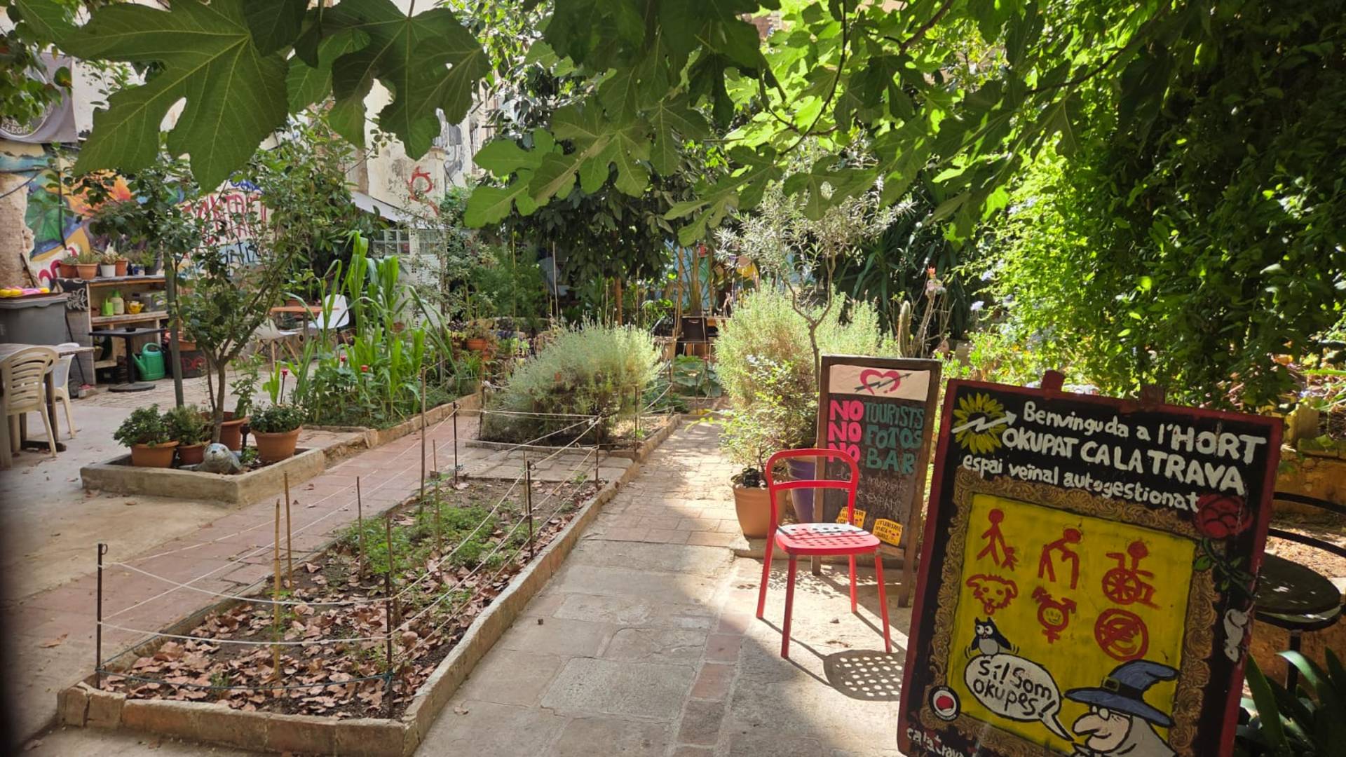 hort ca la trava Gràcia