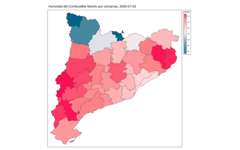 Collserola s'asseca: com arriben els boscos a la tercera onada de calor? | bosc, Collserola, onada de calor, pluja