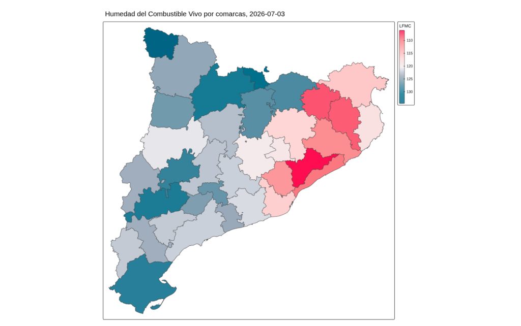 Collserola s'asseca: com arriben els boscos a la tercera onada de calor? | bosc, Collserola, onada de calor, pluja
