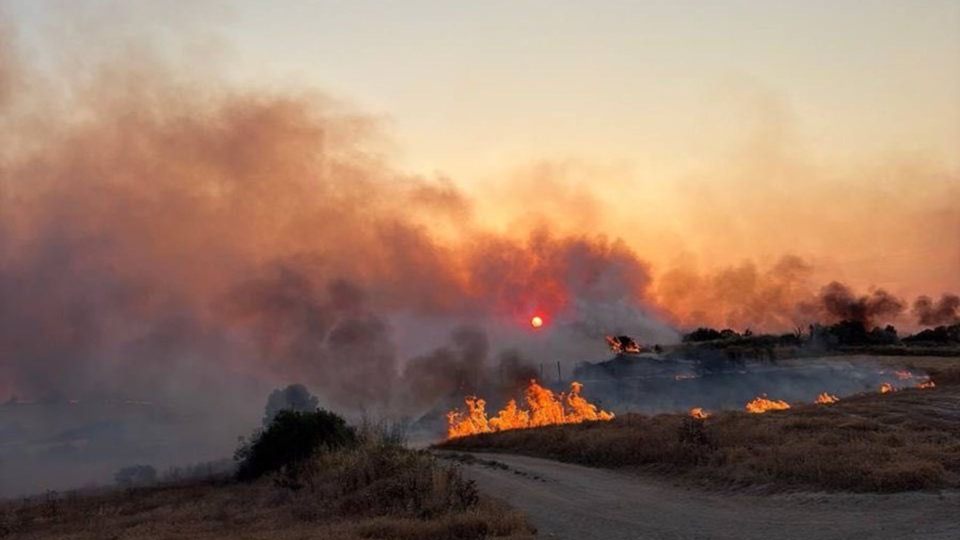 Mapa d'incendis forestals a Catalunya en temps real