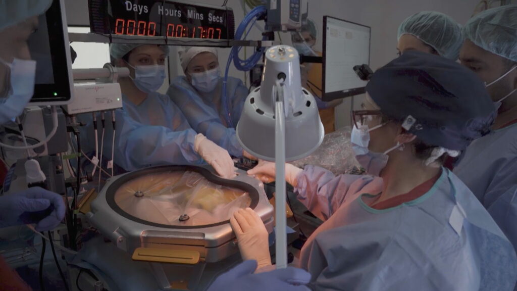 Pas de gegant per garantir la vida als prematurs extrems: èxit experimental d'una incubadora líquida | Hospital Clínic, Hospital Sant Joan de Déu, investigació, Universitat de Barcelona (UB)