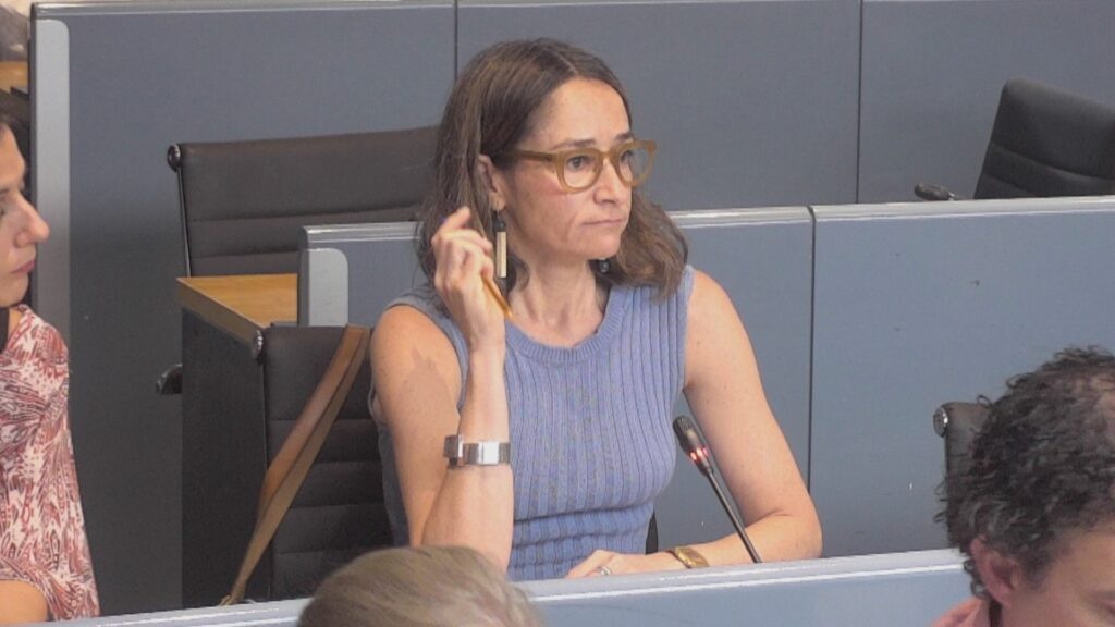 marta salicru comissionada catala