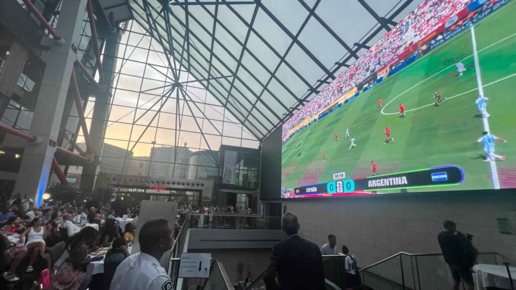 afici&oacute; argentina final Mundial