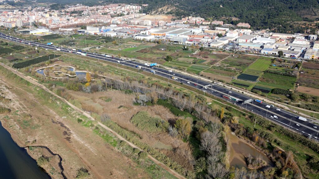 Les papallones alcen el vol: any de rècord a Barcelona, per varietat i quantitat | animals, Àrea Metropolitana, parcs, platges