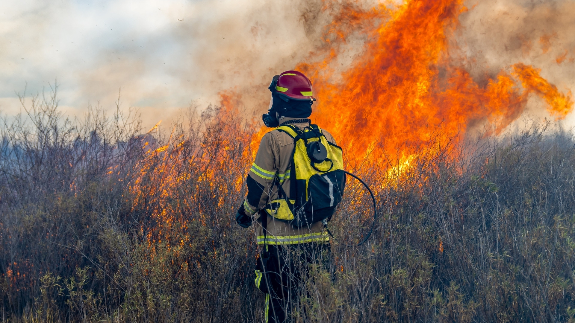 quines son fases incendi forestal