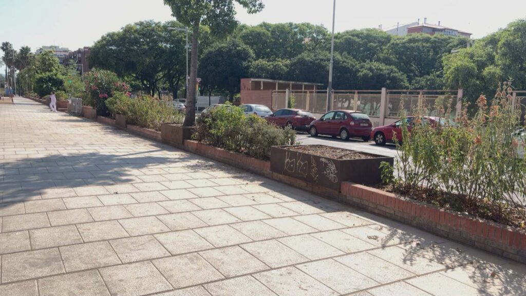 Jardineres del carrer d'Arag&oacute; que encara no s'han remodelat. 