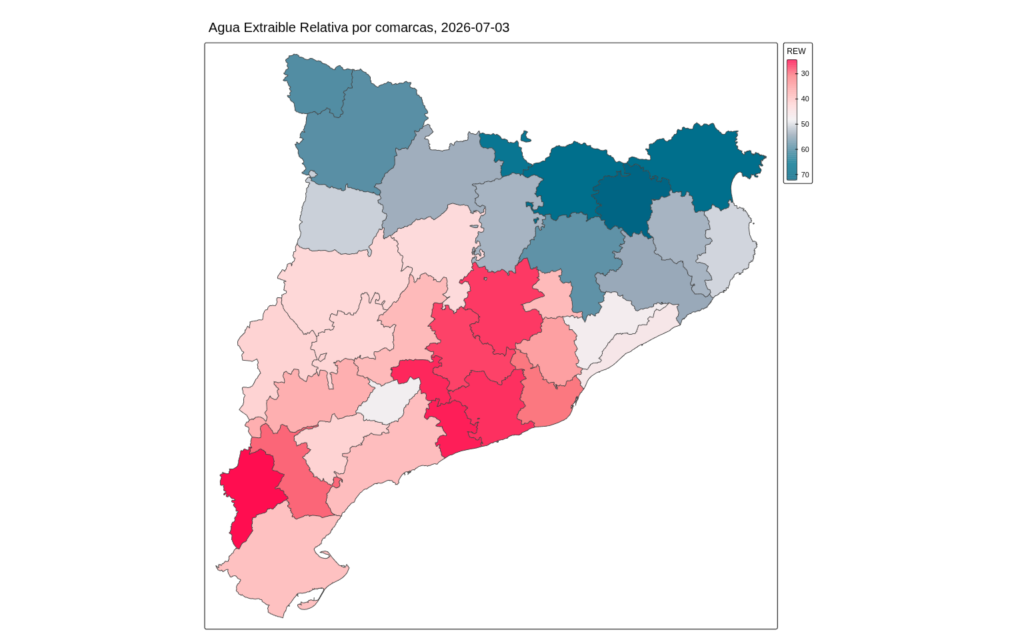 Collserola s'asseca: com arriben els boscos a la tercera onada de calor? | bosc, Collserola, onada de calor, pluja