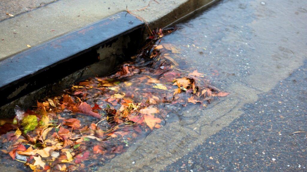 Barcelona supera els 40 dies sense pluja: els models obren la porta a un possible canvi a Catalunya | calor, meteorologia, pluja, temperatura