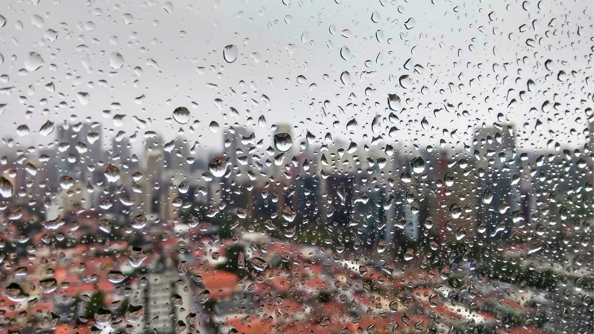 temps agost models pluja Barcelona catalunya 2026