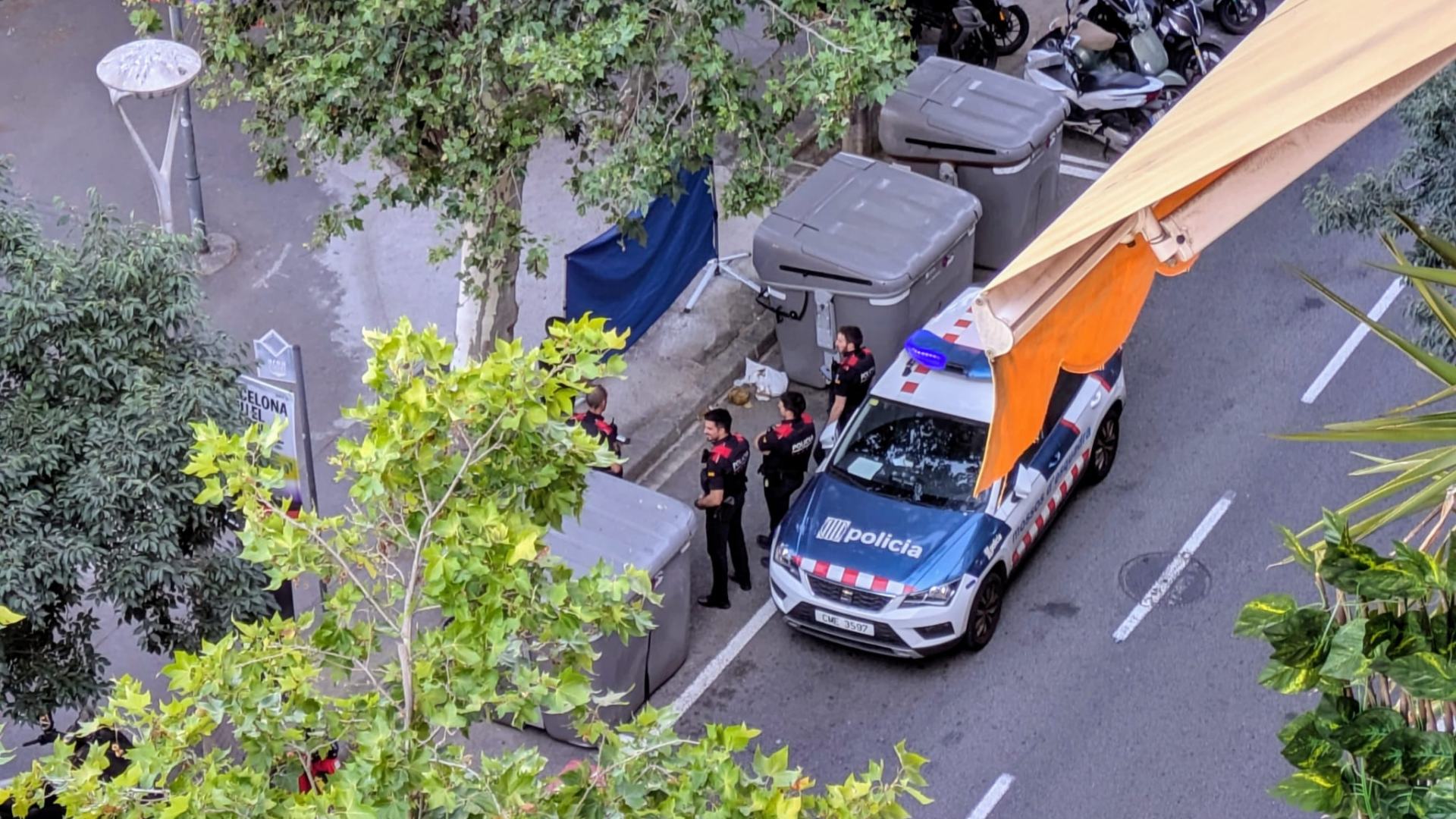 tros crani contenidors mossos